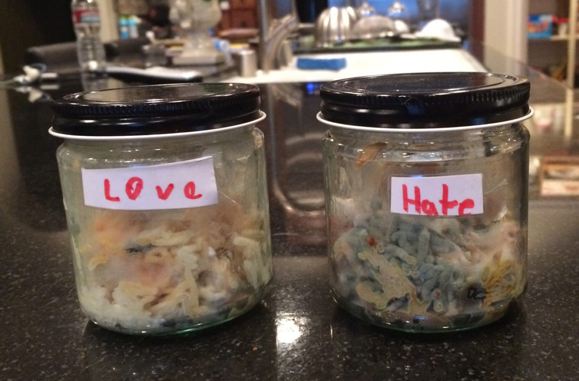Dr. Emoto Rice Experiment Matthew Ferry