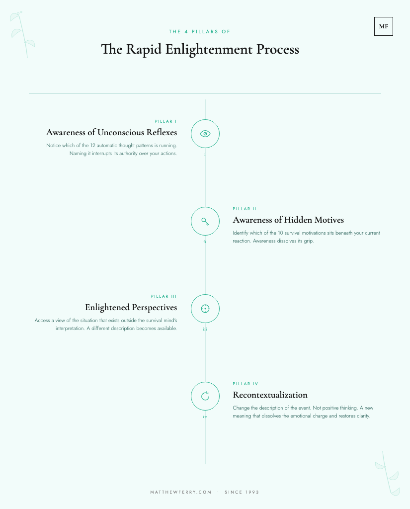 The 4 Pillars of the Rapid Enlightenment Process